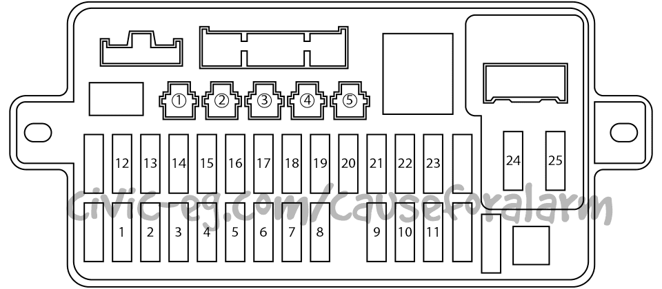 option outputs